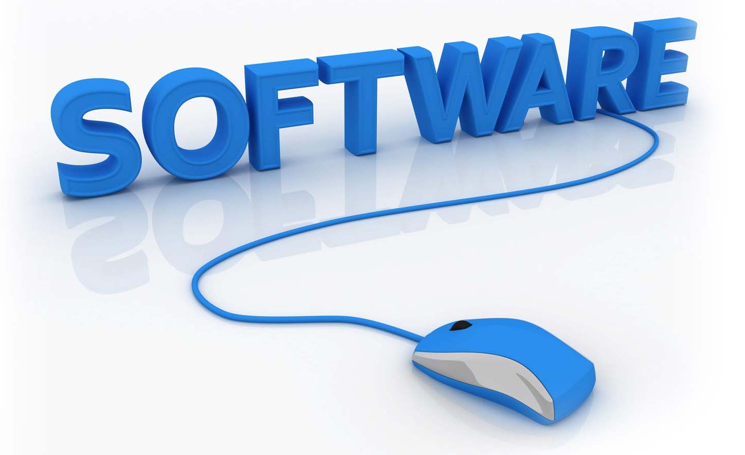 software1